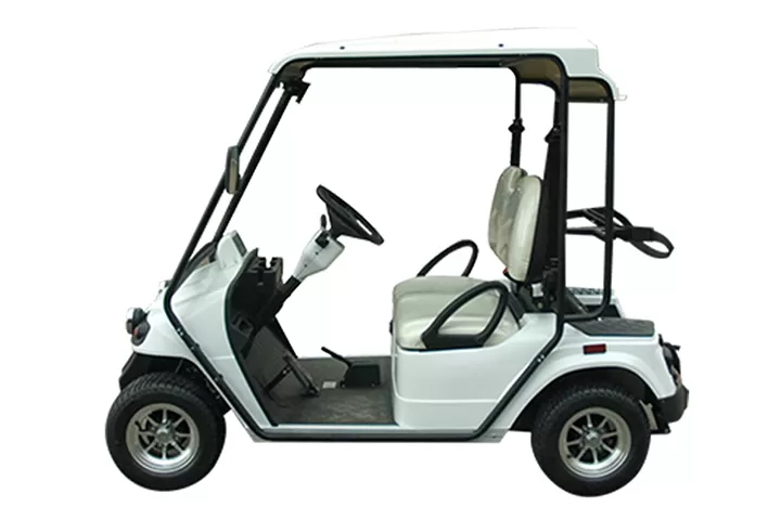 2 seater golf cart