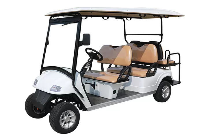 6 passenger electric golf cart